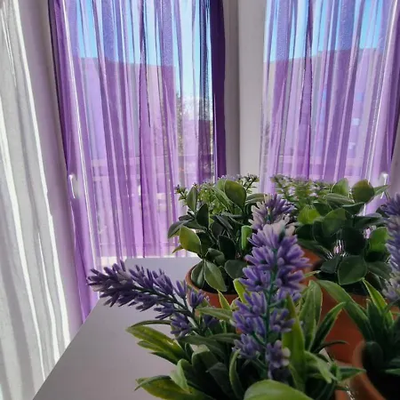 Gæstehus Ana Stjepan Nikolic - Pilgrim's 2nd 3*