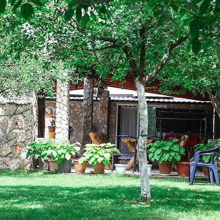 Ana Stjepan Nikolic - Pilgrim's 2nd