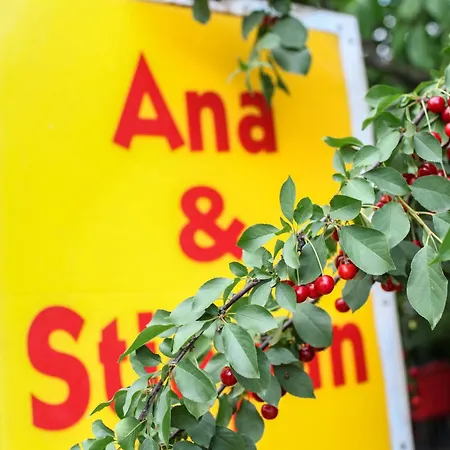 Gæstehus Ana Stjepan Nikolic - Pilgrim's 2nd 3*