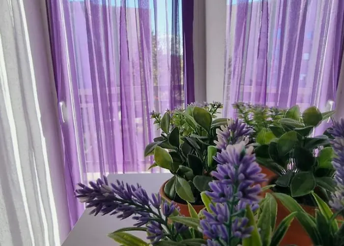 בית הארחה Ana & Stjepan Nikolic - Pilgrim's 2nd 4*